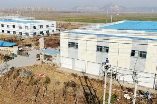 110千伏郑海变电站10千伏配出工程顺利送电投产，为区域发展注入强劲动力